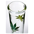 Weedstar Clear Lazzy Inline WS-Line 18,8er double Perculator ICE