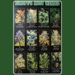 Europes Most Wanted 61x91,5cm