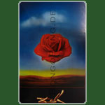 Dali- Rose Meditative 61x91,5cm