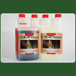 Canna Cogr Flores A u. B 2x1L (Cogr Matten)