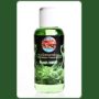 Elements Flavour Molasse - Fresh Mint 100ml